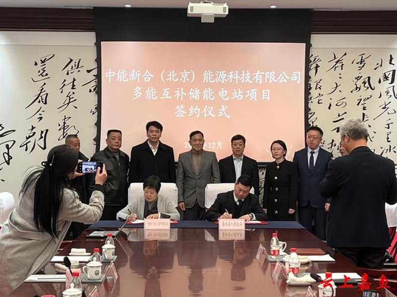 新能源项目开发：绿色梦想的起点